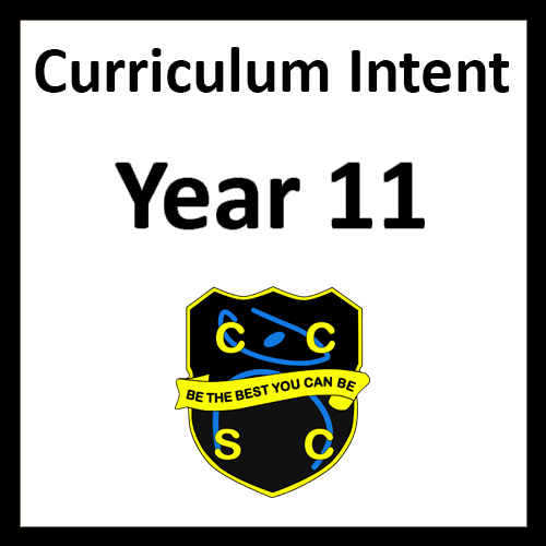 y11curricintent